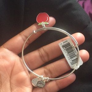NWT Alex and Ani Charm Bracelet